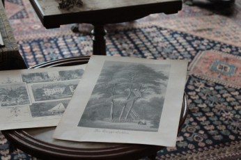 Entwurf einer Treppenfichte