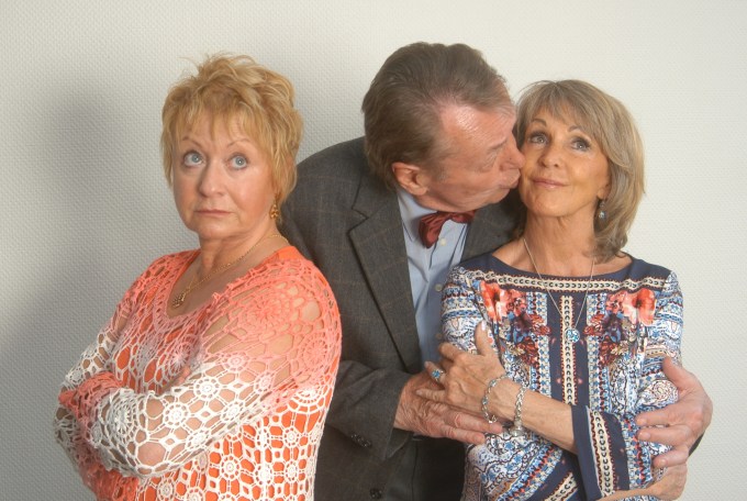 weigelt-gehrke-schorn